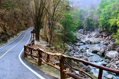 Road amidst trees in forest