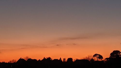 Silhouette trees against sky during sunset