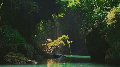 View of birds in lake