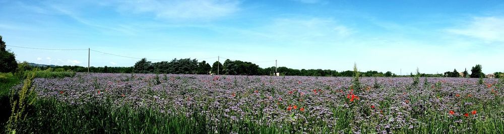 Scenic view of field against cloudy sky