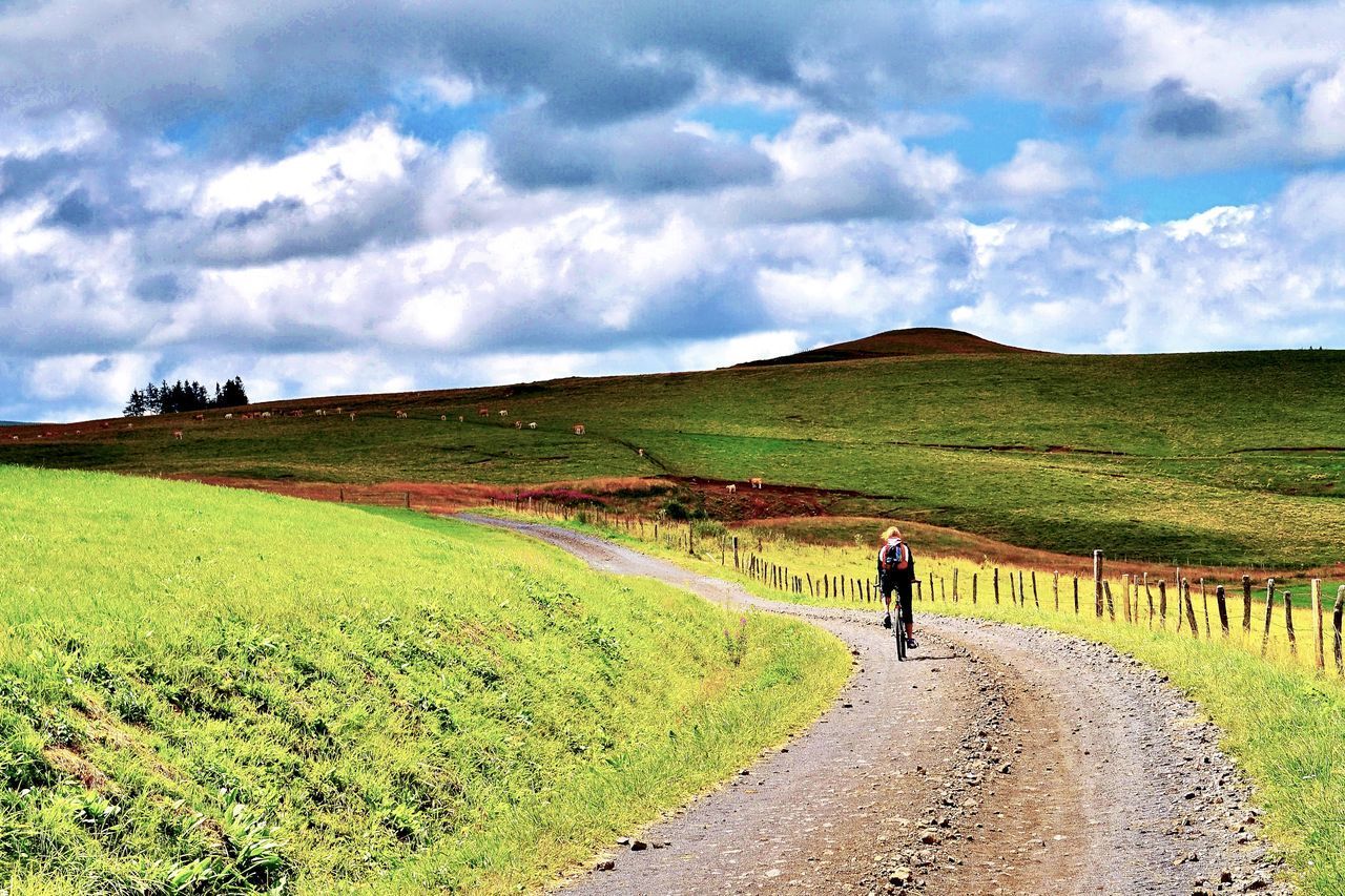 REAR VIEW OF MAN WALKING ON ROAD AMIDST FIELD