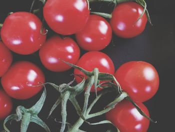 High angle view of tomatoes