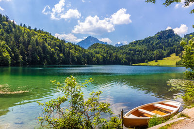 Scenic view of lake by trees against sky