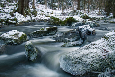 Scenic view of waterfall in forest