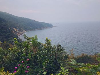 Scenic view of sea against sky
