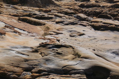 High angle view of rocky field