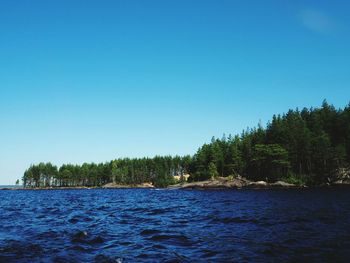 Scenic view of trees against clear blue sky