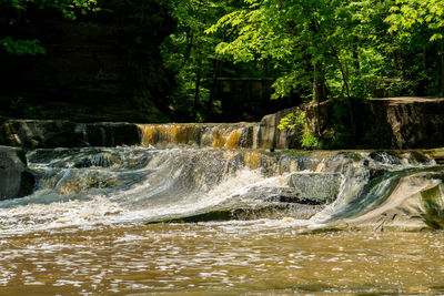 Scenic view of waterfall in forest