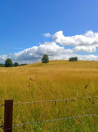 Scenic view of field against cloudy sky