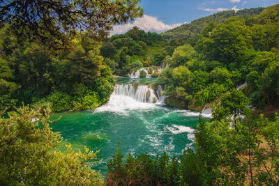 Scenic view of waterfall in forest