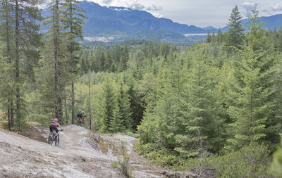 Rear view of people riding motorcycle in forest