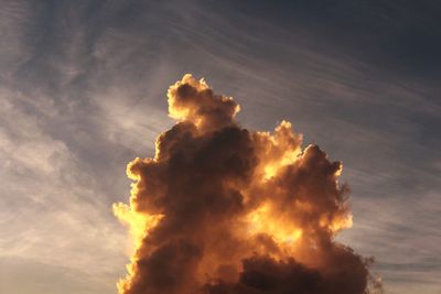 Low angle view of vapor trail in sky