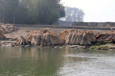 Panoramic view of river and trees against sky