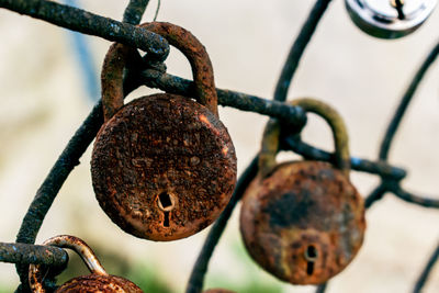 Close-up of padlocks