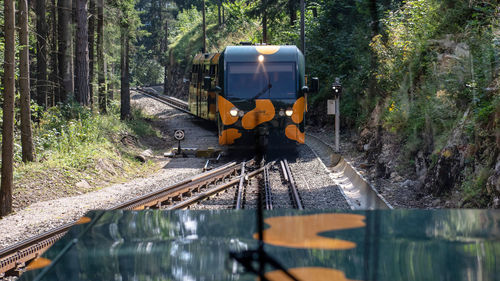 Train on railroad track amidst trees in forest