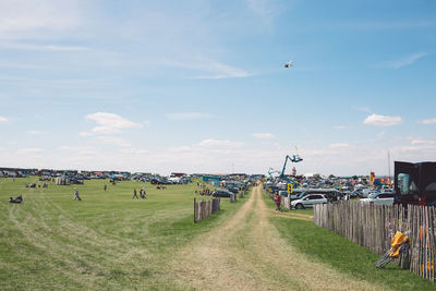 Flock of birds on grass against sky