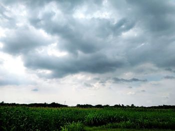 Scenic view of field against cloudy sky