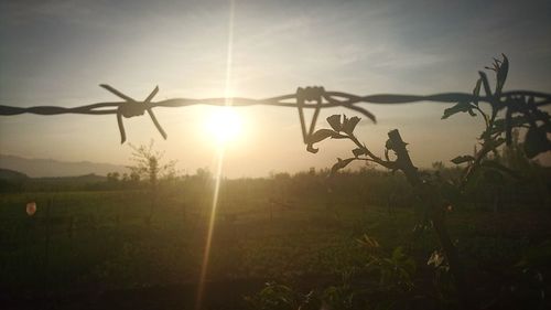 Silhouette of field against sky during sunset