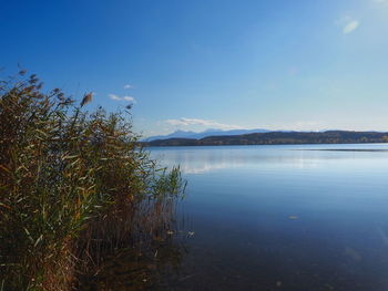 Scenic view of lake against blue sky