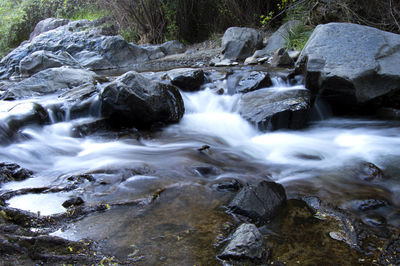 Scenic view of waterfall in forest