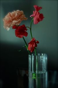 Close-up of red rose in glass vase