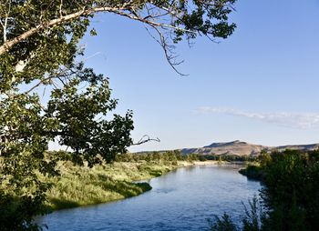 Scenic view of river against clear blue sky