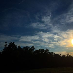 Low angle view of silhouette trees against sky