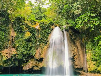 Scenic view of waterfall in forest