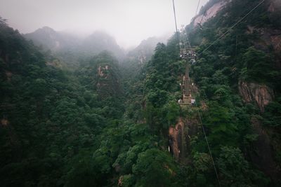 Overhead cable cars over mountains in forest