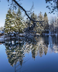 Trees by lake against sky during winter