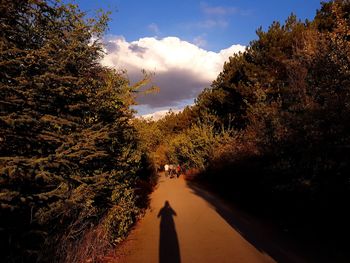 Trees by plants against sky during autumn