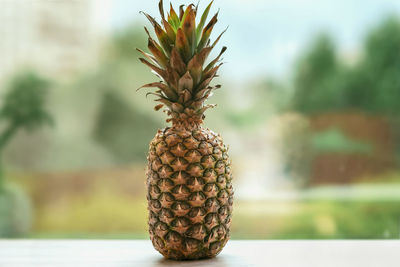 Close-up of fruit on table