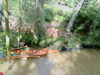 People in boat on river against trees