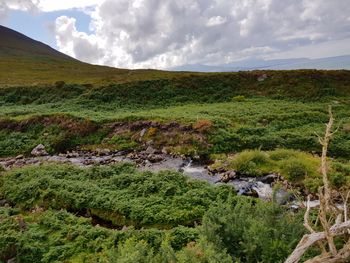 Scenic view of stream against sky