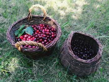 High angle view of blackberries in basket on field