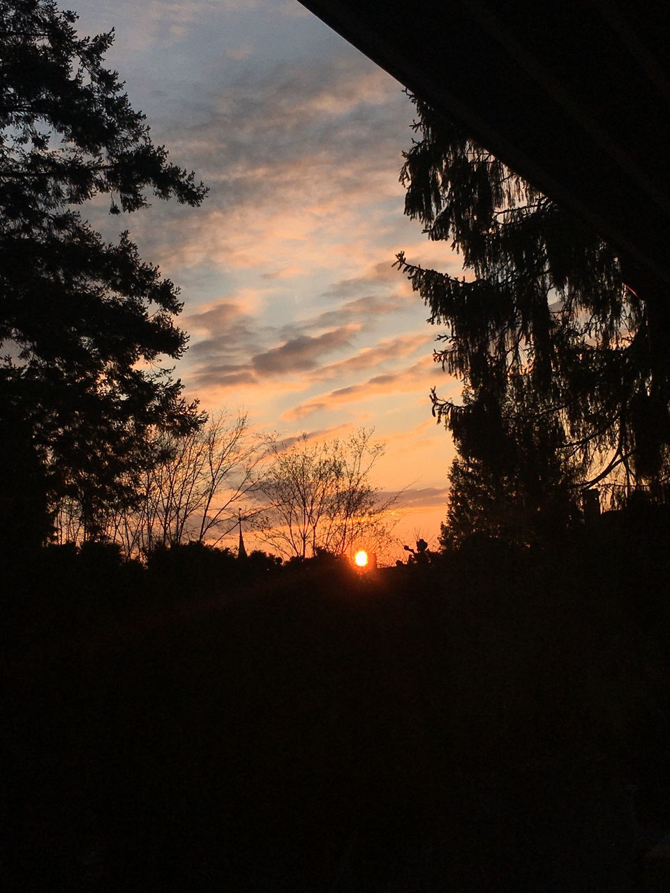 SCENIC VIEW OF SILHOUETTE TREES AGAINST SKY DURING SUNSET