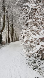 Scenic view of snow covered field