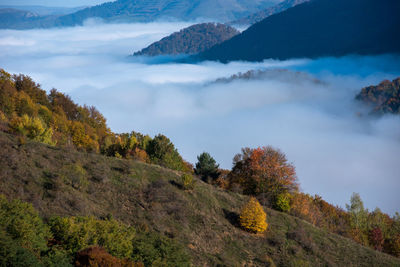 nature