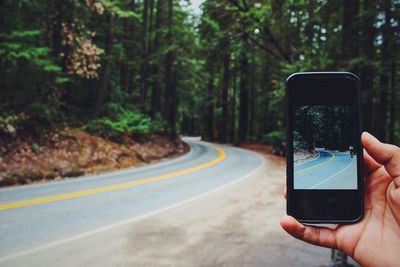 Cropped image of person photographing road amidst trees