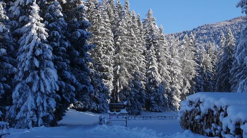 Panoramic view of snow covered mountain against sky