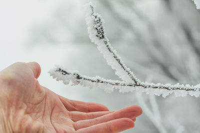 Close up extending hand to frozen tree branch concept photo