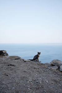 Scenic view of sea against clear sky