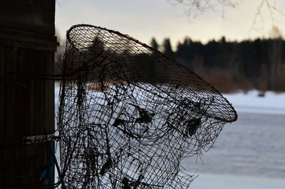 Old fishing equipment