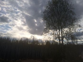 Silhouette bare trees in forest against sky