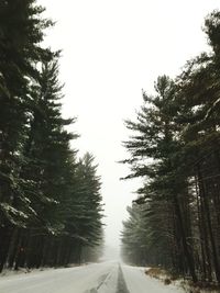 Road amidst trees against clear sky