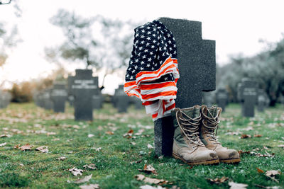 Low section of man standing on field