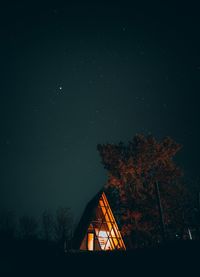 Low angle view of trees against sky at night