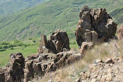 Sheep on rock by landscape against sky