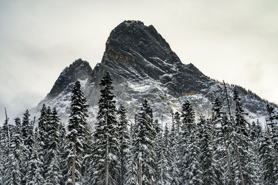 Dramatic mountain peak above snow covered trees