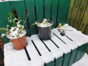 Close-up of white flower pots on wooden table